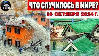 Катаклизмы за день 16.10.2024! катаклизмы сегодня новости сегодня  События Дня чп новый выпуск