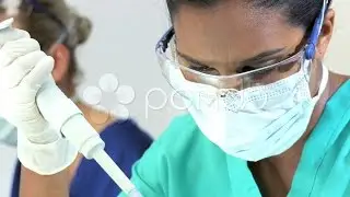 Medical Research. Stock Footage