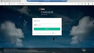 How to export Control-M Web Site Standards, User Views and Viewpoints?