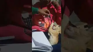 Play with Cat 😁 #cutebaby