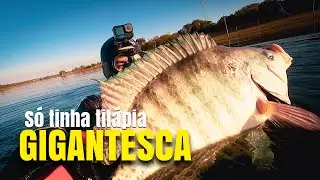 SÓ TILÁPIA GIGANTE - PESCA SUB ATASUB