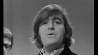 The Turtles - You Baby