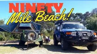 PET FRIENDLY Beach Camping  | FJ Cruiser