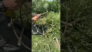 Fishing tackle. Fish trap.