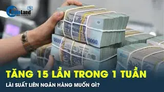 Lãi suất liên ngân hàng tăng dữ dội | CafeLand