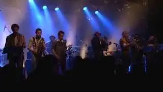 Tapones de Punta - Admiral´s Horn - La Trastienda