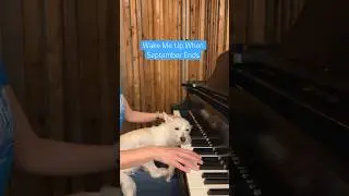 September 🤍 #newmonth #september #greenday #wakemeupwhenseptemberends #dogs #piano #love