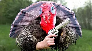 I Went Turkey Hunting in a Turkey Costume!