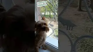 КАК СНЯТЬ СТАРУЮ КРАСКУ ИЗ СТЕКЛА БЕЗ УСИЛИЙ ЛАЙХФАК ВРЕМЕН СССР