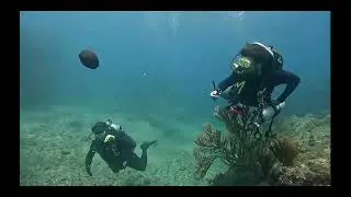 Poseidon Dive Center Diving in Taganga