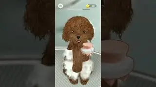 street dog to pet dog ASMR CLEANING