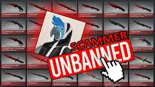 Valve Just UNBANNED The BIGGEST SCAMMER