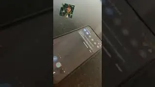6 de agosto de 2021