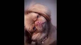 😘😘😘