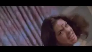 Cat Fight with sound effects