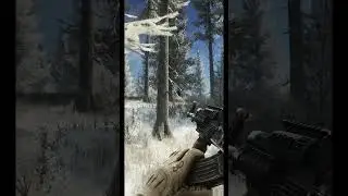 Ratattack Woods #1 ★ Escape from Tarkov 