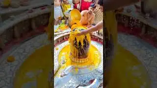 Mahashivratri status ❤️🕉️ #mahashivratri#mahadev#mahakal#shivshankar#mahashivratristatus#bholenath