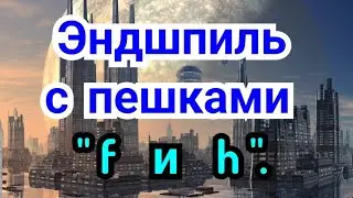 35 ) Лекция .     Ладейные окончания.   Эндшпиль с пешками 