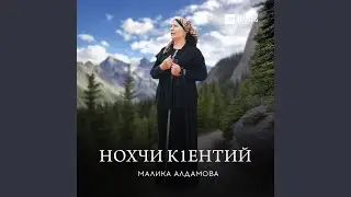 Нохчи кlентий