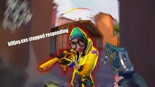 killjoy.exe stopped working