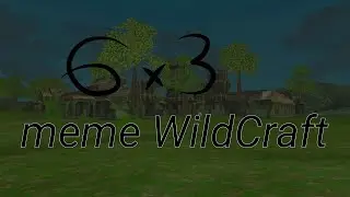6 x 3 meme WildCraft
