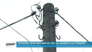 RM TV: Теренни проучвания на ЧЕЗ за защита на птиците