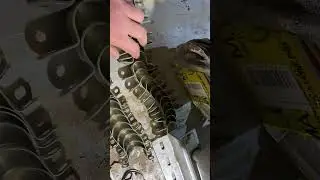 Кавыктенские Сараконожки