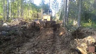 Т-170 работа трактора в лесу.