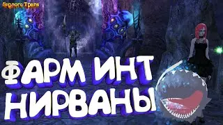 Farm Int Nirvana. New server Comeback PW X