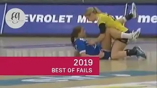 Lustige Videos Collection – Best of 2019 - Versuche nicht zu lachen | Guava Studio