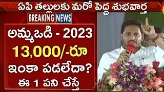 అమ్మ ఒడి ₹13,000 ఇంకా పడలేదా? ఈ 1 పని చేస్తే అరగంటలో ఖాతాలో జమ | Jagananna Ammavodi Payment Status
