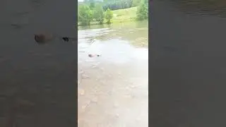 Река Сикася  в Ишимбайском заповеднике.