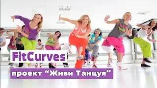 FitCurves - проект 