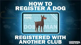 How Do I Register A Dog With CKC That's Registered with Another Club?