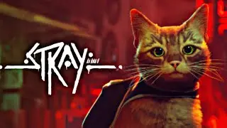 SIMULADOR DE VIDA DE GATITO KAWAII - Stray #1 (Gameplay en Español)