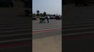 Bird at Walmart