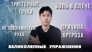 Упражнения, которые помогут избавиться от боли в плече | Боль в плече