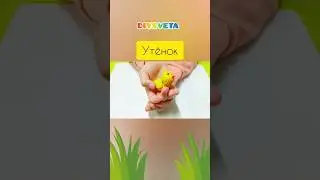 Лепка с дошкольниками 