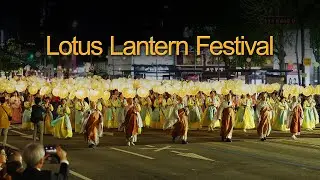 2025 Lotus Lantern Festival | Exploring Korea!