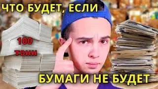 Насколько мы зависимы от БУМАГИ / Как БУМАГА разрушила ЭКОЛОГИЮ