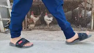 Конибодом2023