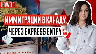 Особенности система Express Entry | Как работает система Express Entry | ИММИГРАЦИЯ В КАНАДУ 🇨🇦