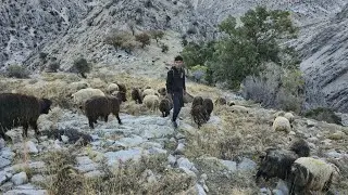 IRAN nomadic life | daily routine village life of Iran | Nomadic lifestyle of Iran