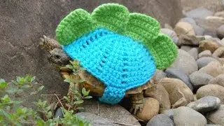 My Tortoise سلحفاتي