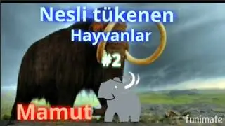 Nesli tükenen hayvanlar #2 mamut!!(zoopark)