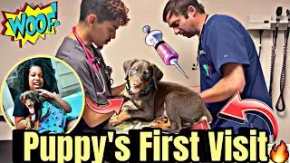 SHOCKING truth about PUPPY’S 1st VET visit! 💉😭| First Check Up | What to Expect | Angel Joi
