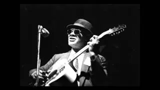 rev. Gary Davis - Old Drunken Sally