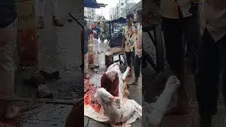 সহজ পদ্ধতিতে গরু কাটা কোরবানি ঈদের গরু কাটা হচ্ছে