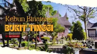 Kebun Binatang Bukit Tinggi - Sumatera Barat