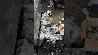 Puedo ponerle un motor 1.5 a una honda fit 1.3 ? La repuesta es si, pero debes saber esto.